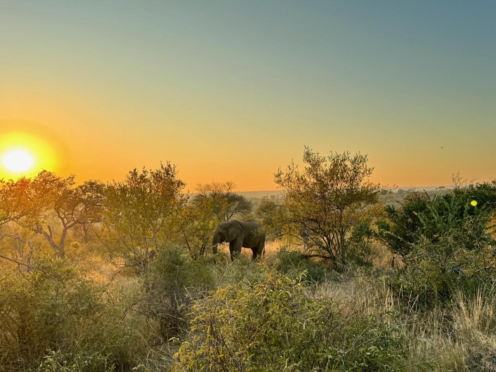 Ku Sungula Safari Lodge 발룰레 게임 리저브 외부 사진